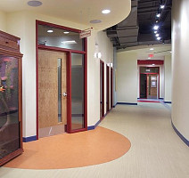 Forbo Marmoleum Decibel on Order 382535 African desert фото 3 | FLOORDEALER